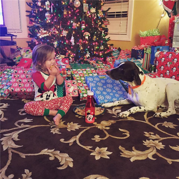 /Images/uploads/Southeast German Shorthaired Pointer Rescue/segspcalendarcontest2018/entries/8579thumb.jpg